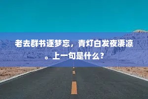 老去群书逐梦忘，青灯白发夜凄凉。上一句是什么？