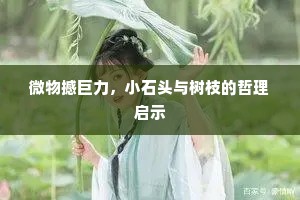 微物撼巨力，小石头与树枝的哲理启示