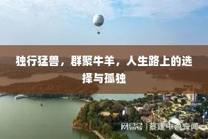 独行猛兽，群聚牛羊，人生路上的选择与孤独