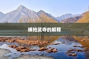 横抢武夺的解释