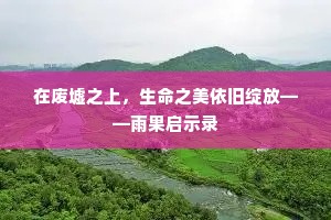 在废墟之上，生命之美依旧绽放——雨果启示录