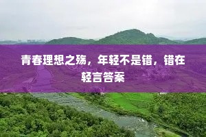 青春理想之殇，年轻不是错，错在轻言答案