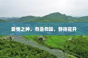 爱情之种，勿急勿躁，静待花开