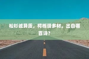 松杉诚异质，樗栎谩多材。出自哪首诗？