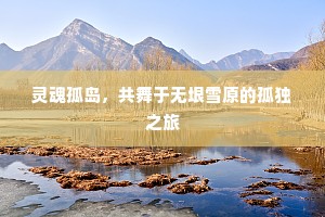 灵魂孤岛，共舞于无垠雪原的孤独之旅