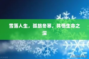 雪落人生，孤旅冬寒，共悟生命之深