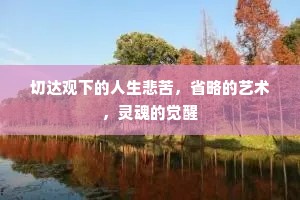 切达观下的人生悲苦，省略的艺术，灵魂的觉醒