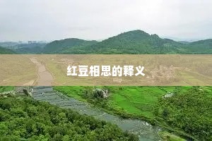 红豆相思的释义
