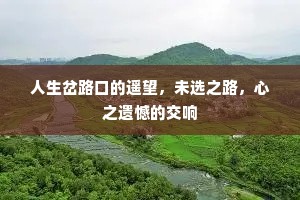 人生岔路口的遥望，未选之路，心之遗憾的交响