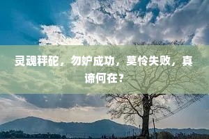 灵魂秤砣，勿妒成功，莫怜失败，真谛何在？