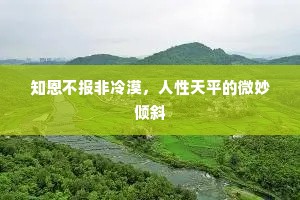 知恩不报非冷漠，人性天平的微妙倾斜