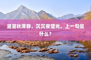 湛湛秋潭静，沉沉夜璧光。上一句是什么？