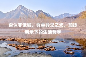 否认非诋毁，尊重异见之光，加缪启示下的生活哲学