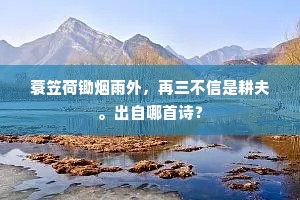 蓑笠荷锄烟雨外，再三不信是耕夫。出自哪首诗？