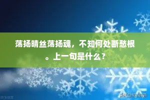 荡扬晴丝荡扬魂，不知何处断愁根。上一句是什么？