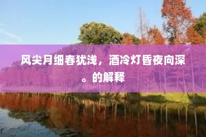 风尖月细春犹浅，酒冷灯昏夜向深。的解释