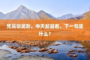 凭高训武则。中天起遐着。下一句是什么？