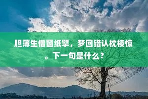 胆薄生僧窗纸擘，梦回错认枕棱惊。下一句是什么？
