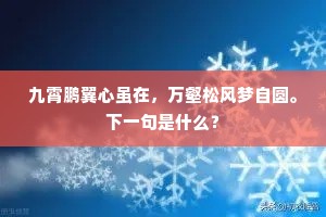 九霄鹏翼心虽在，万壑松风梦自圆。下一句是什么？