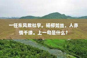 一任东风欺杜宇。杨柳如丝，人亦情千缕。上一句是什么？