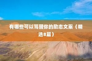 有哪些可以骂醒你的励志文案（精选8篇）