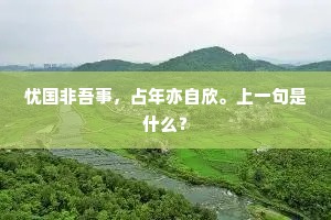 忧国非吾事，占年亦自欣。上一句是什么？
