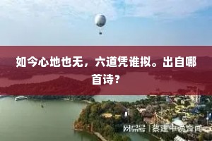 如今心地也无，六道凭谁拟。出自哪首诗？