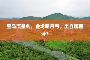 宝马流星剑，金戈明月弓。出自哪首诗？