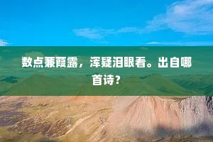 数点蒹葭露，浑疑泪眼看。出自哪首诗？