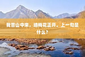 我昔山中来，墙梅花正开。上一句是什么？