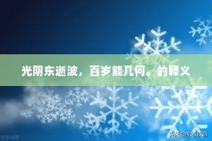 光阴东逝波，百岁能几何。的释义