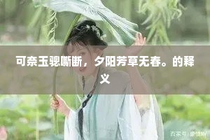 可奈玉骢嘶断，夕阳芳草无春。的释义