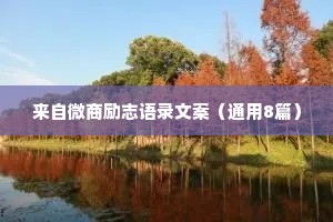 来自微商励志语录文案（通用8篇）