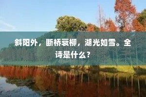 斜阳外，断桥衰柳，湖光如雪。全诗是什么？