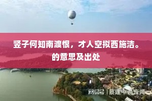 竖子何知南渡恨，才人空拟西施洁。的意思及出处