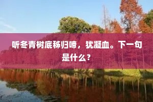 听冬青树底秭归啼，犹凝血。下一句是什么？