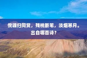 傥魂归同赏，残桃断苇，淡烟寒月。出自哪首诗？