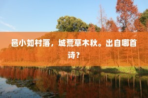 邑小如村落，城荒草木秋。出自哪首诗？