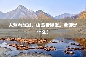 人烟看寂寂，山鸟听啾啾。全诗是什么？