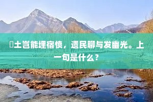 抔土岂能埋宿愤，遗民聊与发幽光。上一句是什么？