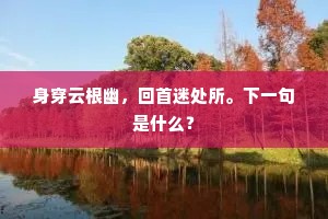 身穿云根幽，回首迷处所。下一句是什么？