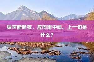 猿声断肠夜，应向雨中闻。上一句是什么？