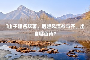 崙山子建名双著，后起风流欲与齐。出自哪首诗？
