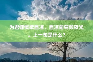为君慷慨歌西凉,西凉葡萄倾夜光。上一句是什么? 为君慷慨歌西凉,西凉葡萄倾夜光。上一句是什么?