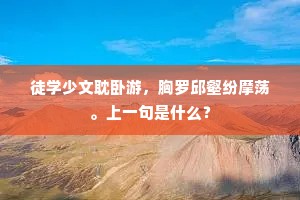 徒学少文耽卧游，胸罗邱壑纷摩荡。上一句是什么？