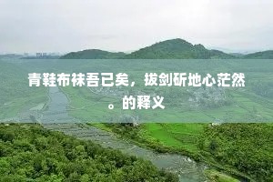 青鞋布袜吾已矣，拔剑斫地心茫然。的释义