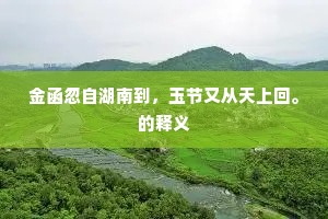 金函忽自湖南到，玉节又从天上回。的释义