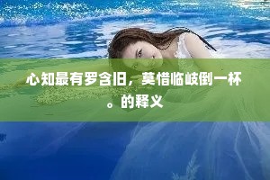 心知最有罗含旧，莫惜临岐倒一杯。的释义