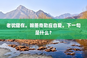 老犹健在。翰墨奇勋应自爱。下一句是什么？
