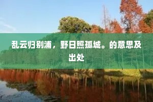 乱云归别浦，野日照孤城。的意思及出处